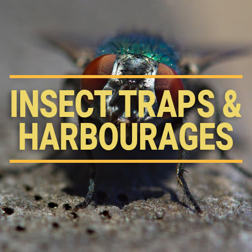 Insect Traps & Harbourages – Ensystex.com.au